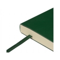 Ежедневник недатированный B5 