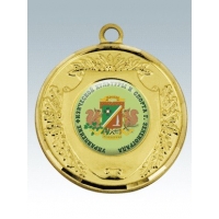 MK56-Медаль корпусная