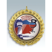 MK93-Медаль корпусная