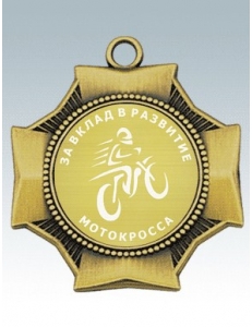 MK98-Медаль корпусная