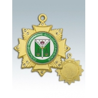 MK171-Медаль корпусная